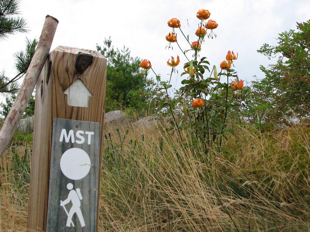 Mountains-to-Sea Trail, Blue Ridge Parkway