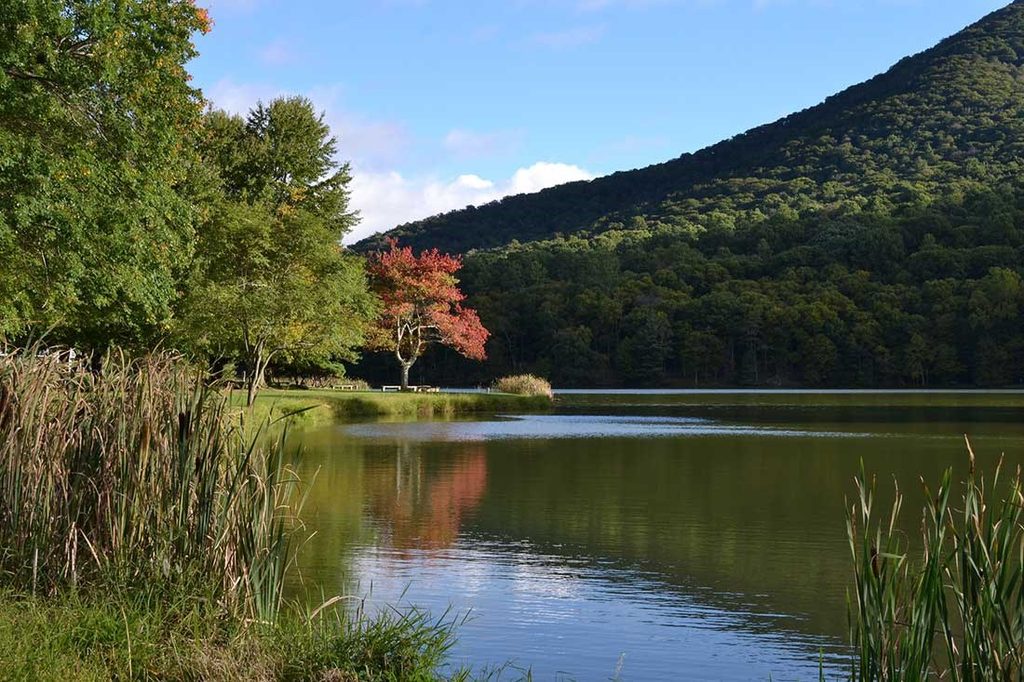 Abbott Lake Loop Trail, Blue Ridge Parkway