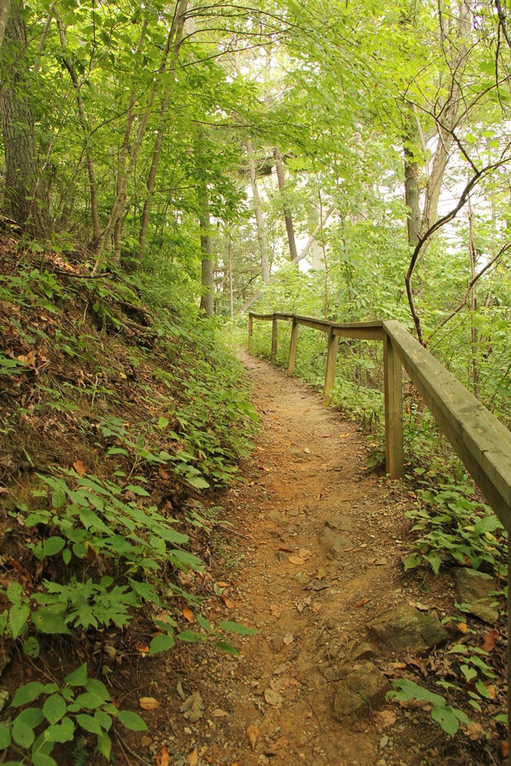 Roanoke River Trail, Blue Ridge Parkway
