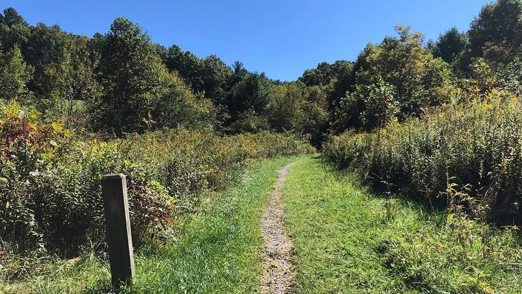 High Meadow Trail, Blue Ridge Parkway
