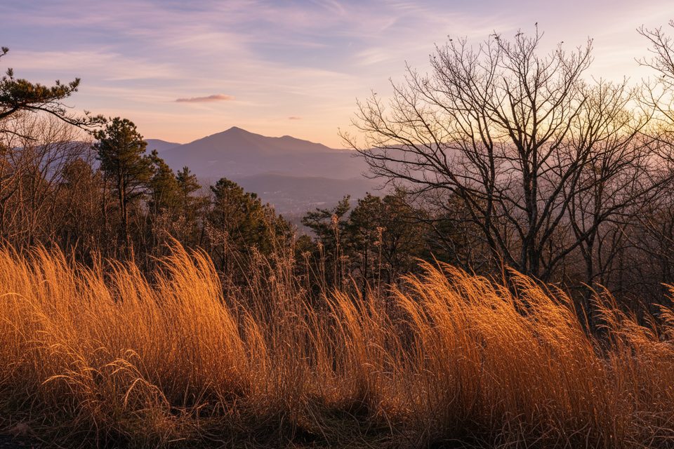 Roanoke Mountain Woodland Trail, Blue Ridge Parkway