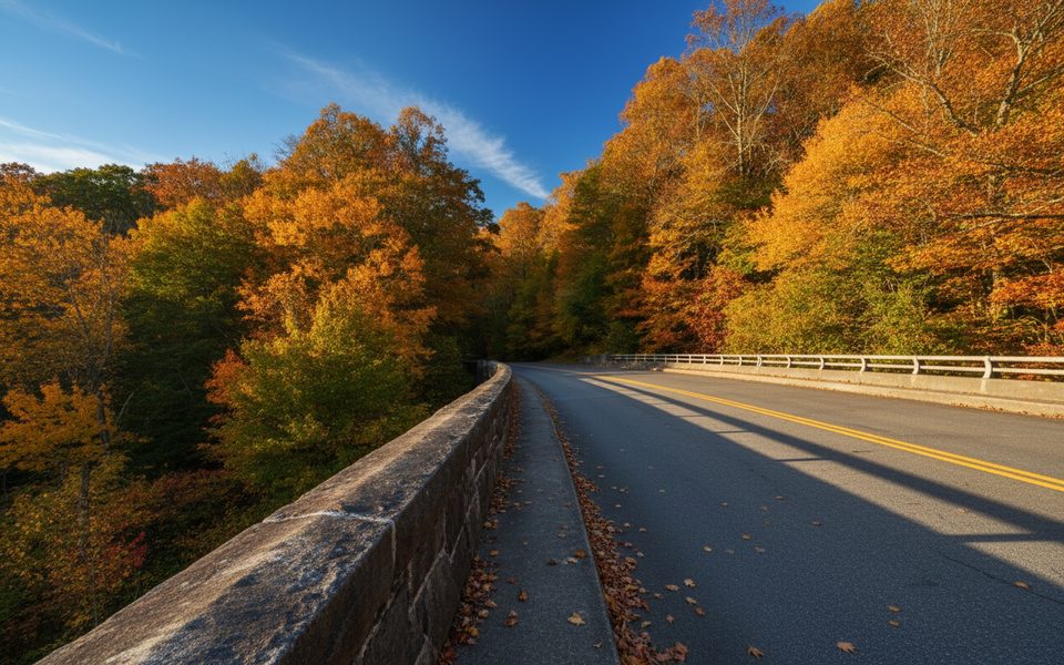 Sims Creek Trail, Blue Ridge Parkway