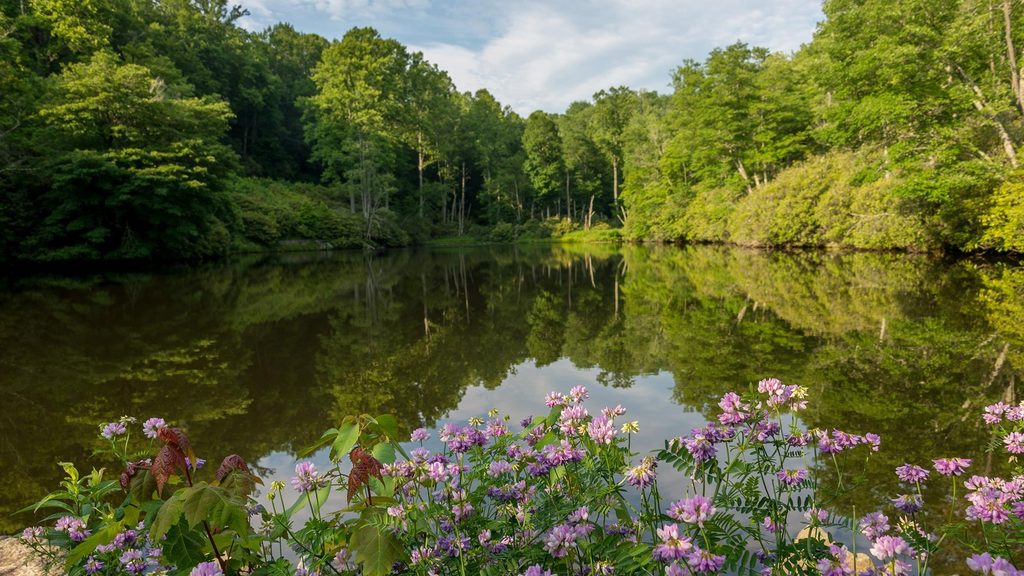 Sims Pond Loop Trail, Blue Ridge Parkway