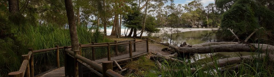 Green Patch Nature Track, Booderee National Park