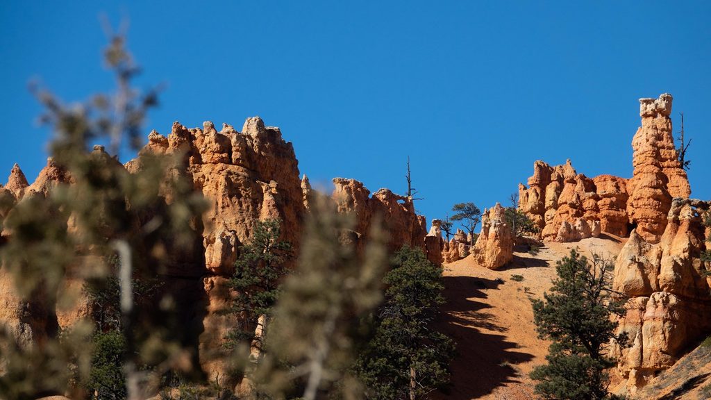 Tropic Trail, Bryce Canyon National Park