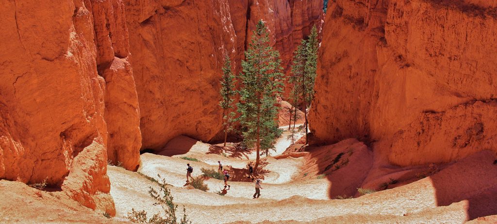 Navajo Loop and Queen's Garden Combination, Bryce Canyon National Park