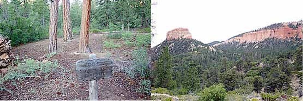 Sheep Creek/Swamp Canyon Loop, Bryce Canyon National Park