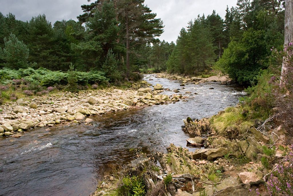 Glen Tanar Knockie Viewpoint Trail, Cairngorms National Park