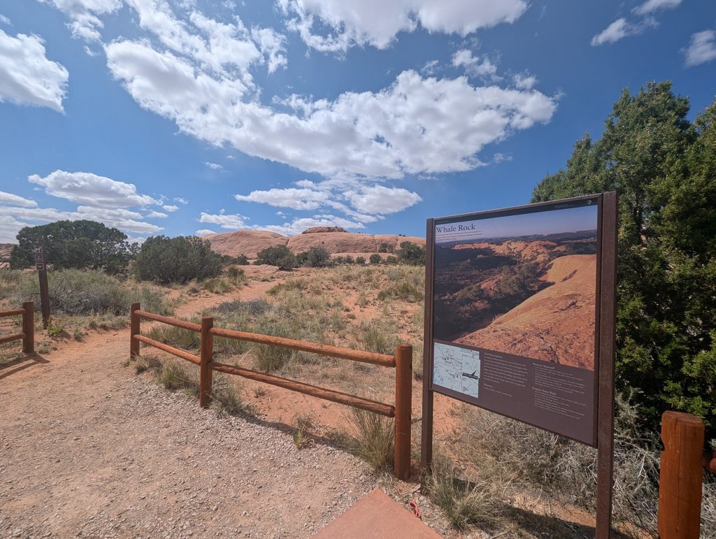 Whale Rock Trail, Canyonlands National Park