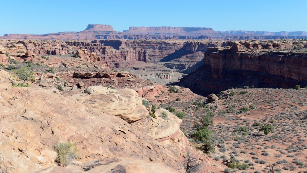 Slickrock Foot Trail, Canyonlands National Park
