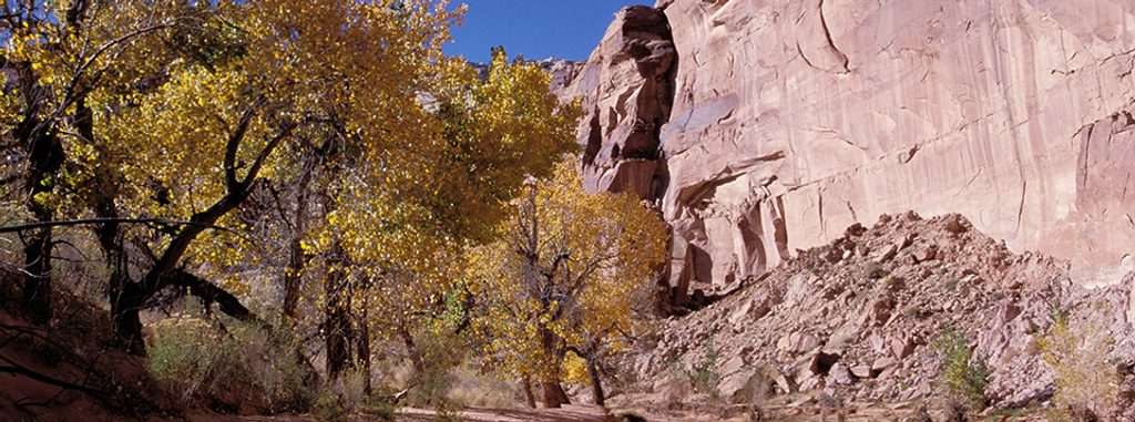 Horseshoe Canyon Trail, Canyonlands National Park