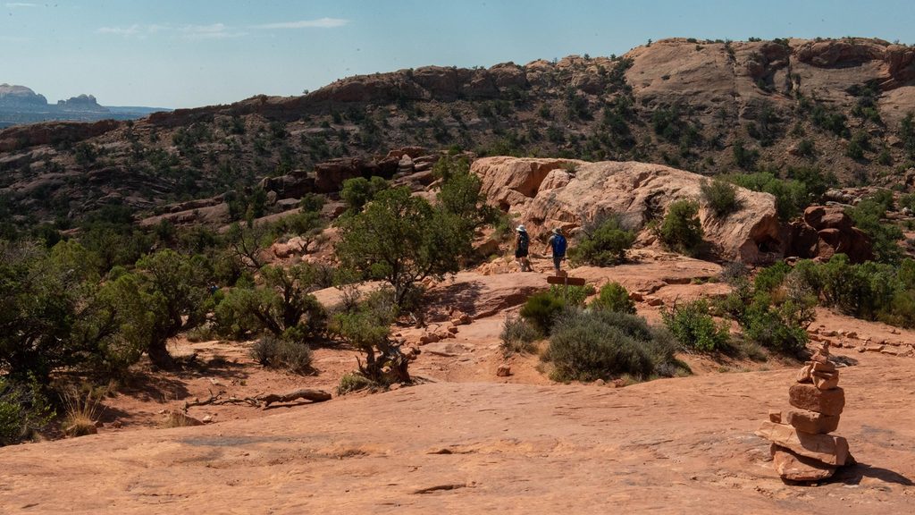 Syncline Loop Trail, Canyonlands National Park
