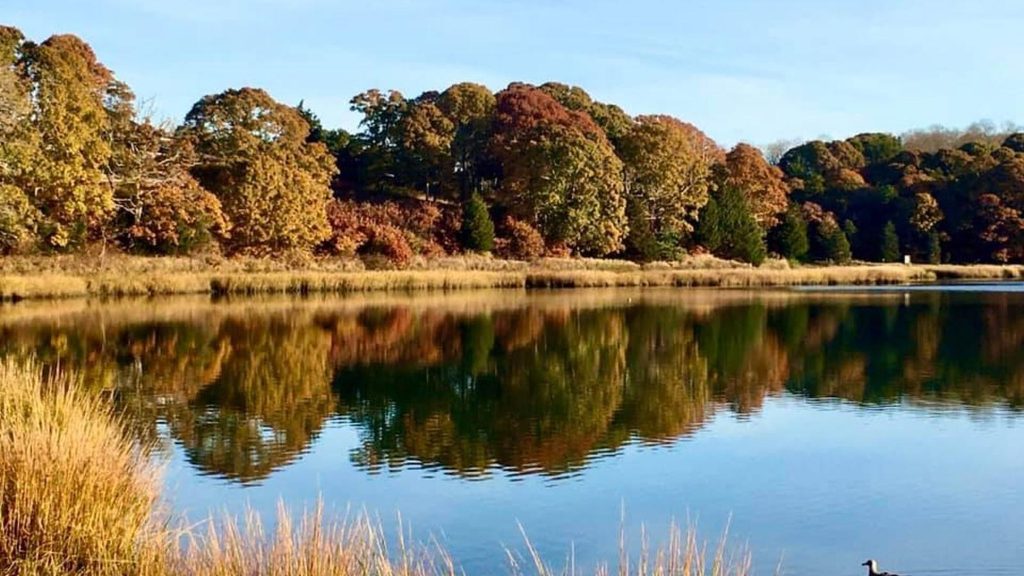 Nauset Marsh Trail, Cape Cod National Seashore
