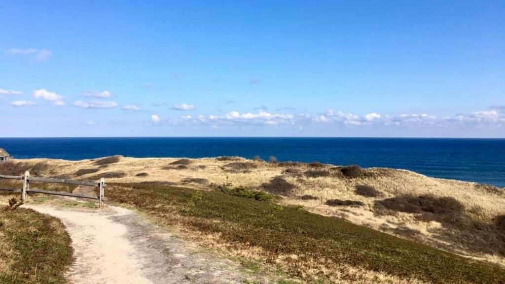 Pamet Area Trails - Bearberry Hill Overlook, Cape Cod National Seashore