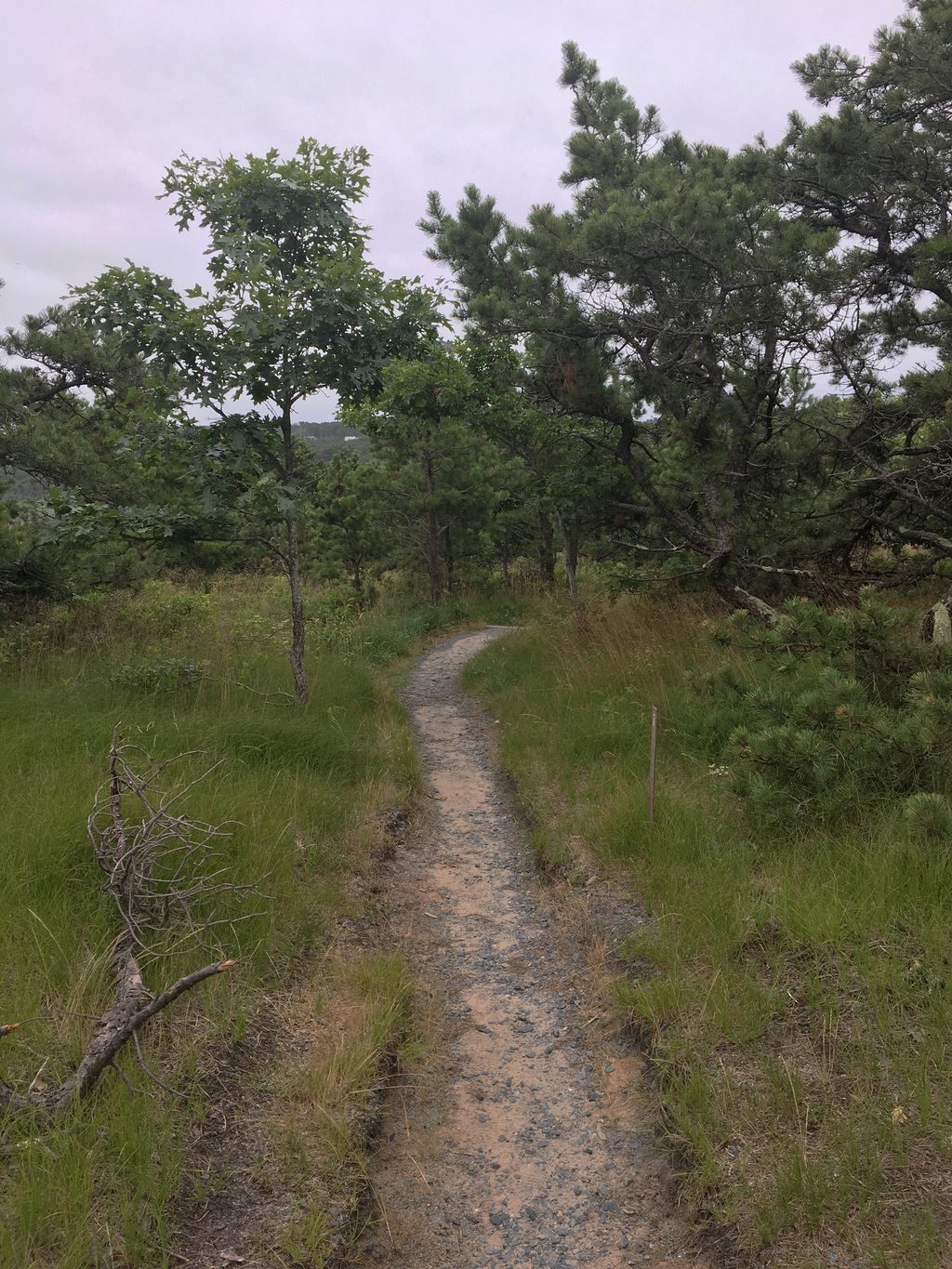 Bearberry Hill Overlook Trail, Cape Cod National Seashore