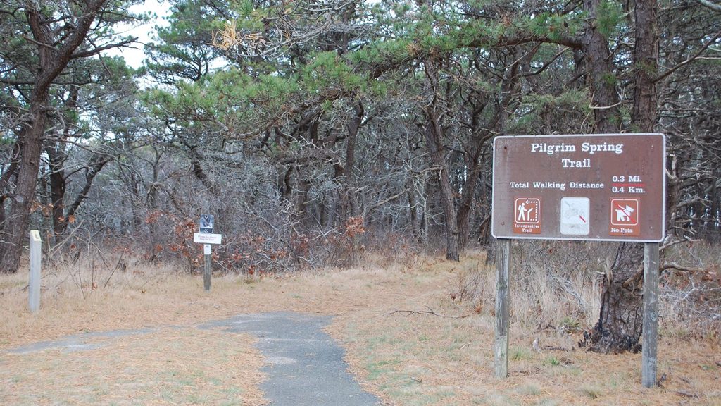 Pilgrim Spring Trail, Cape Cod National Seashore