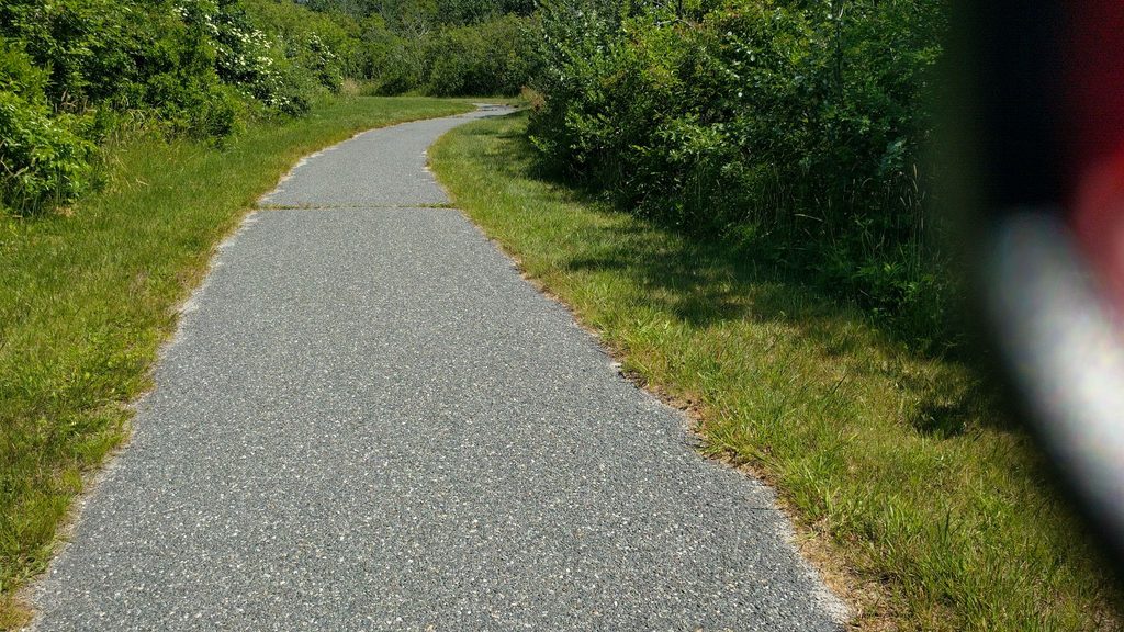 Small's Swamp Trail, Cape Cod National Seashore