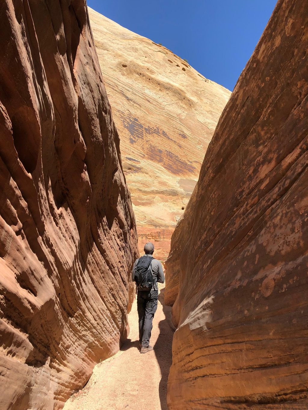 Sheets Gulch Trail, Capitol Reef National Park