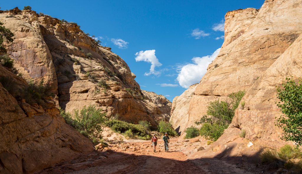 Capitol Gorge Trail, Capitol Reef National Park