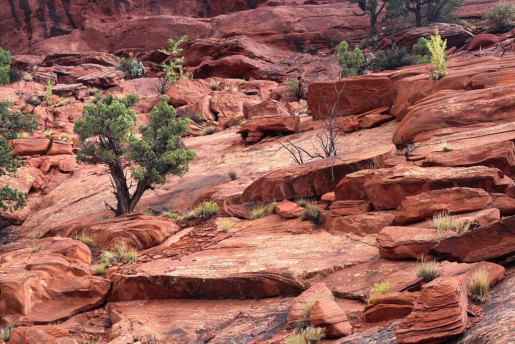 Upper Muley Twist Canyon Trail, Capitol Reef National Park