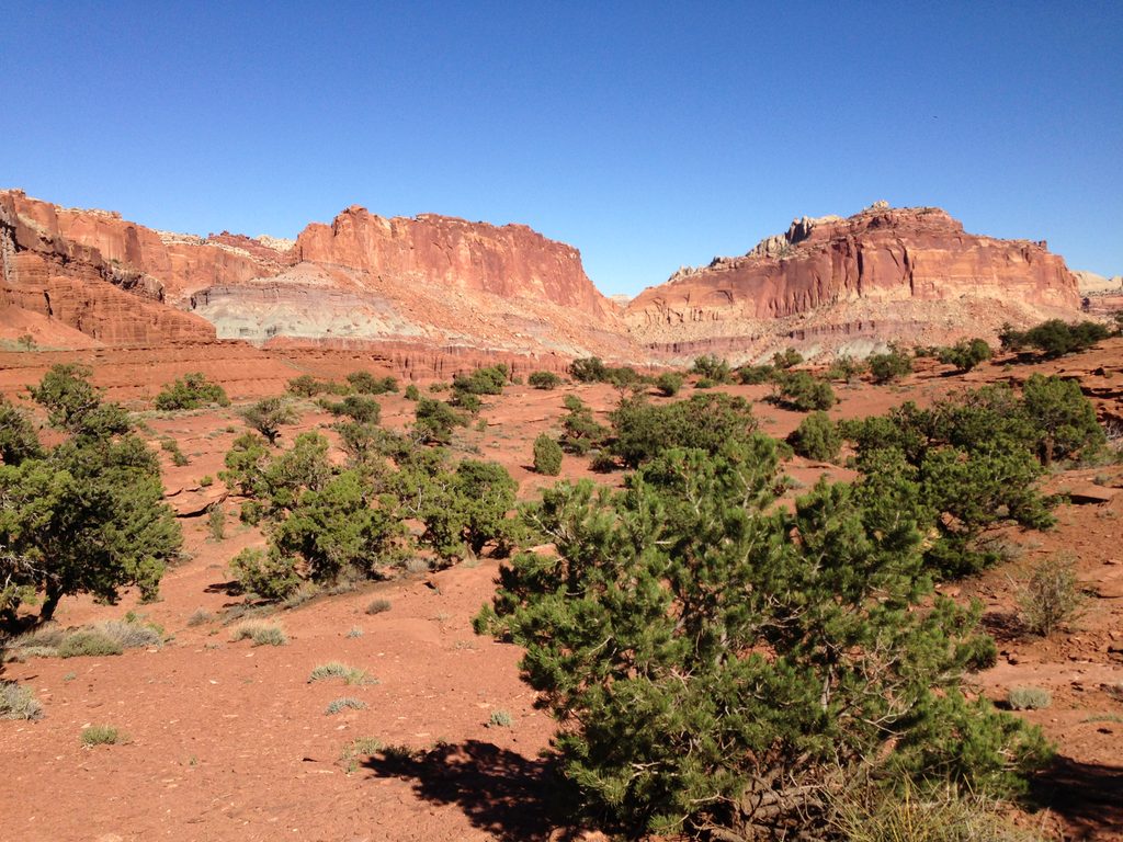 Panorama Point Trail, Capitol Reef National Park