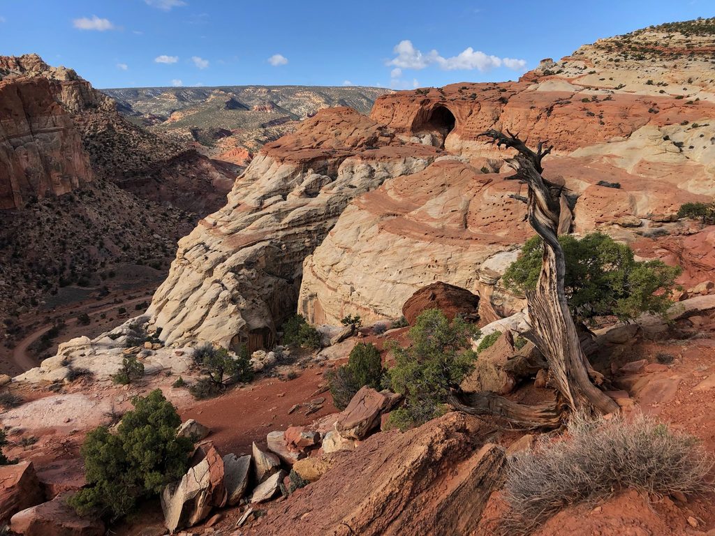 Cassidy Arch Trail, Capitol Reef National Park