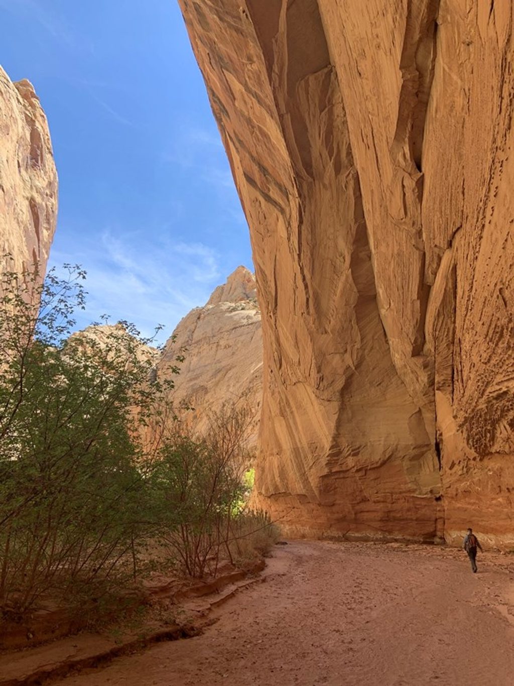 Spring Canyon Trail, Capitol Reef National Park