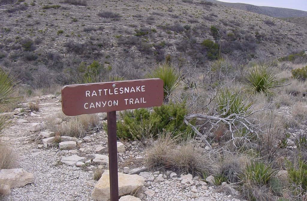 Rattlesnake Canyon Trail, Carlsbad Caverns National Park