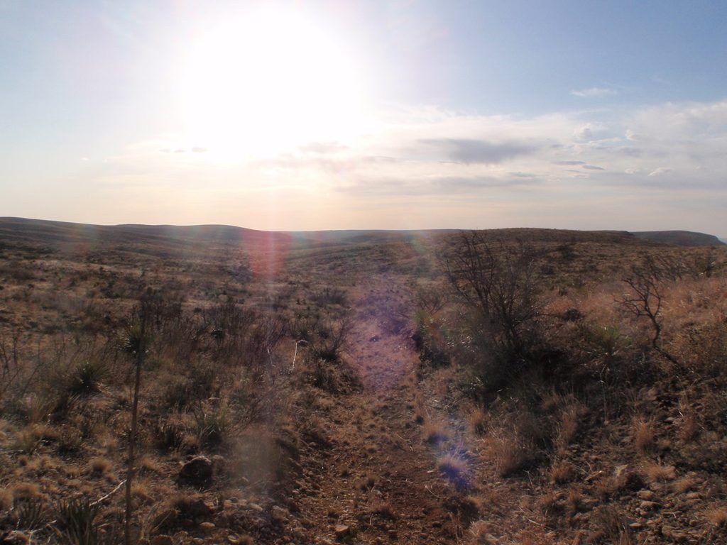 Guadalupe Ridge Trail, Carlsbad Caverns National Park