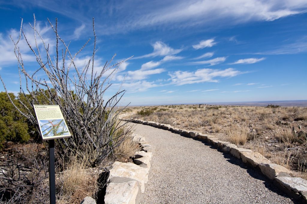Chihuahuan Desert Nature Trail, Carlsbad Caverns National Park