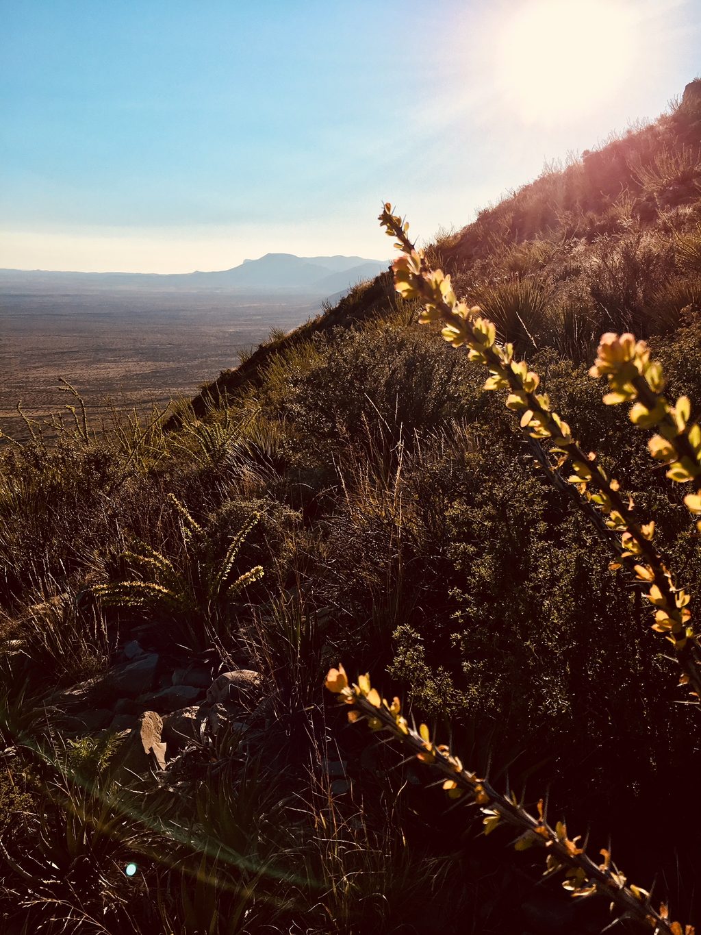 Yucca Canyon Trail, Carlsbad Caverns National Park