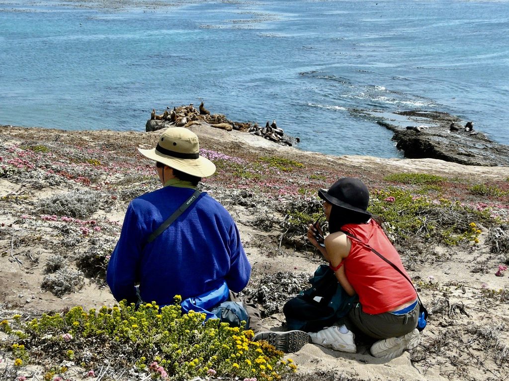 Carrington Point Trail, Channel Islands National Park