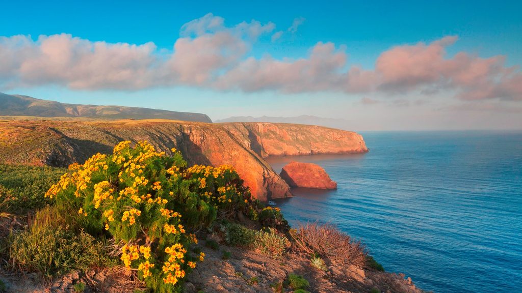 Cavern Point Loop, Channel Islands National Park