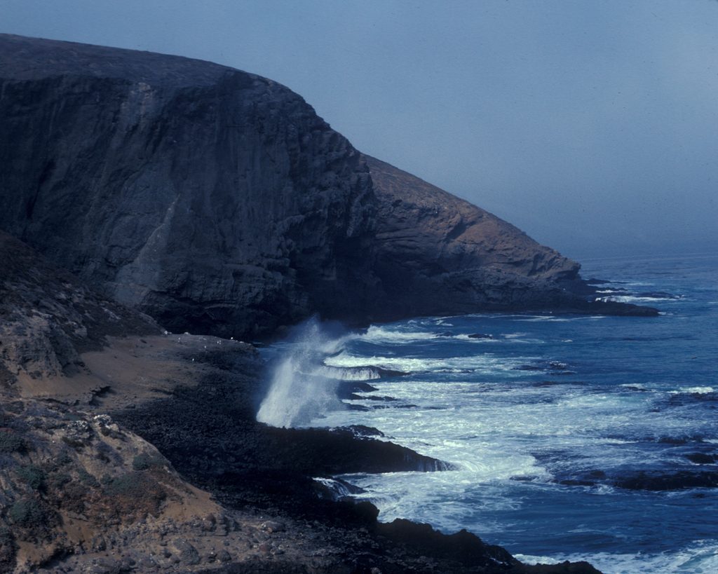 Sea Lion Rookery Trail, Channel Islands National Park