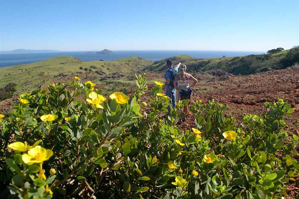 Bluff Trail (Santa Cruz Island), Channel Islands National Park