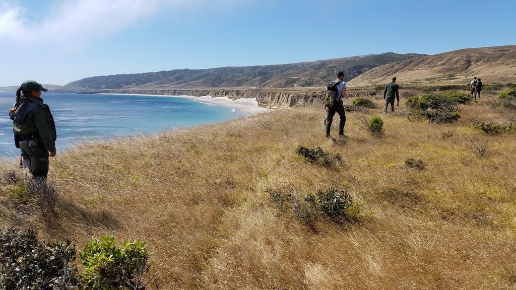 Bechers Bay Coastal Trail, Channel Islands National Park