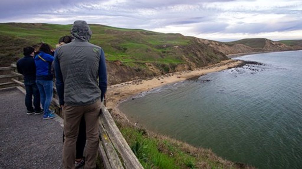 Elephant Seal Cove Trail, Channel Islands National Park