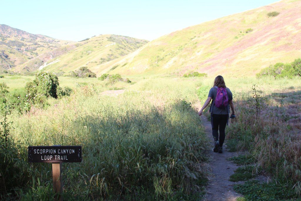 Scorpion Canyon Loop Trail, Channel Islands National Park