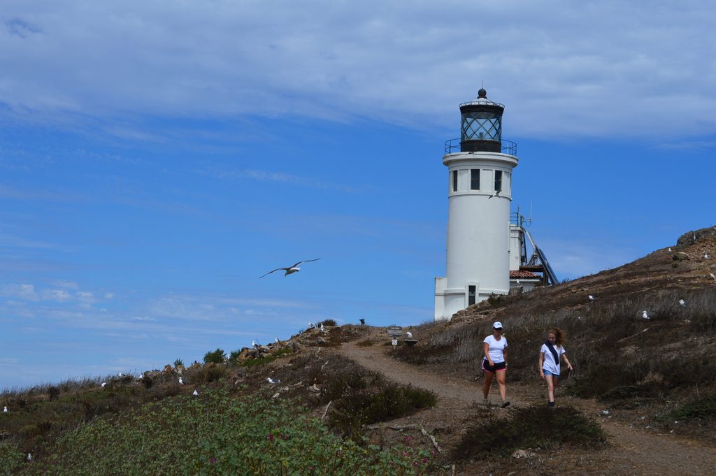 Lighthouse Overlook Trail, Channel Islands National Park
