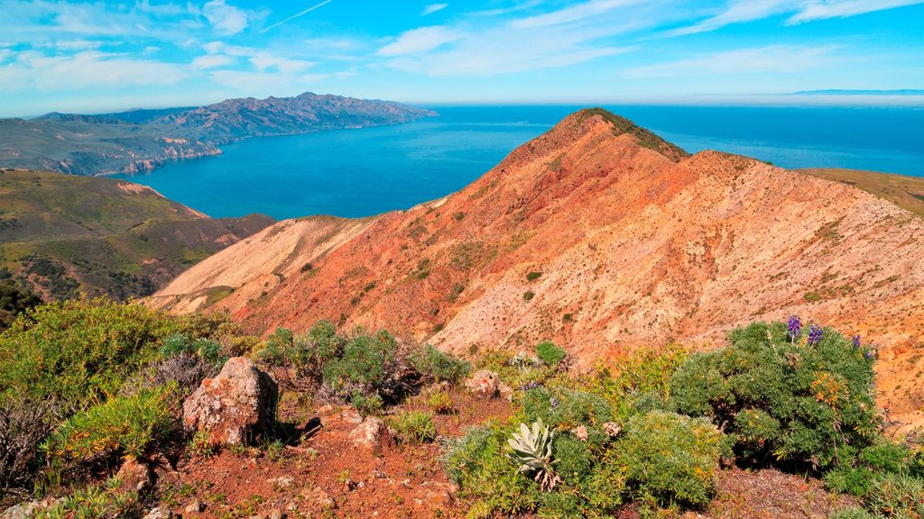 Montañon Ridge Trail, Channel Islands National Park