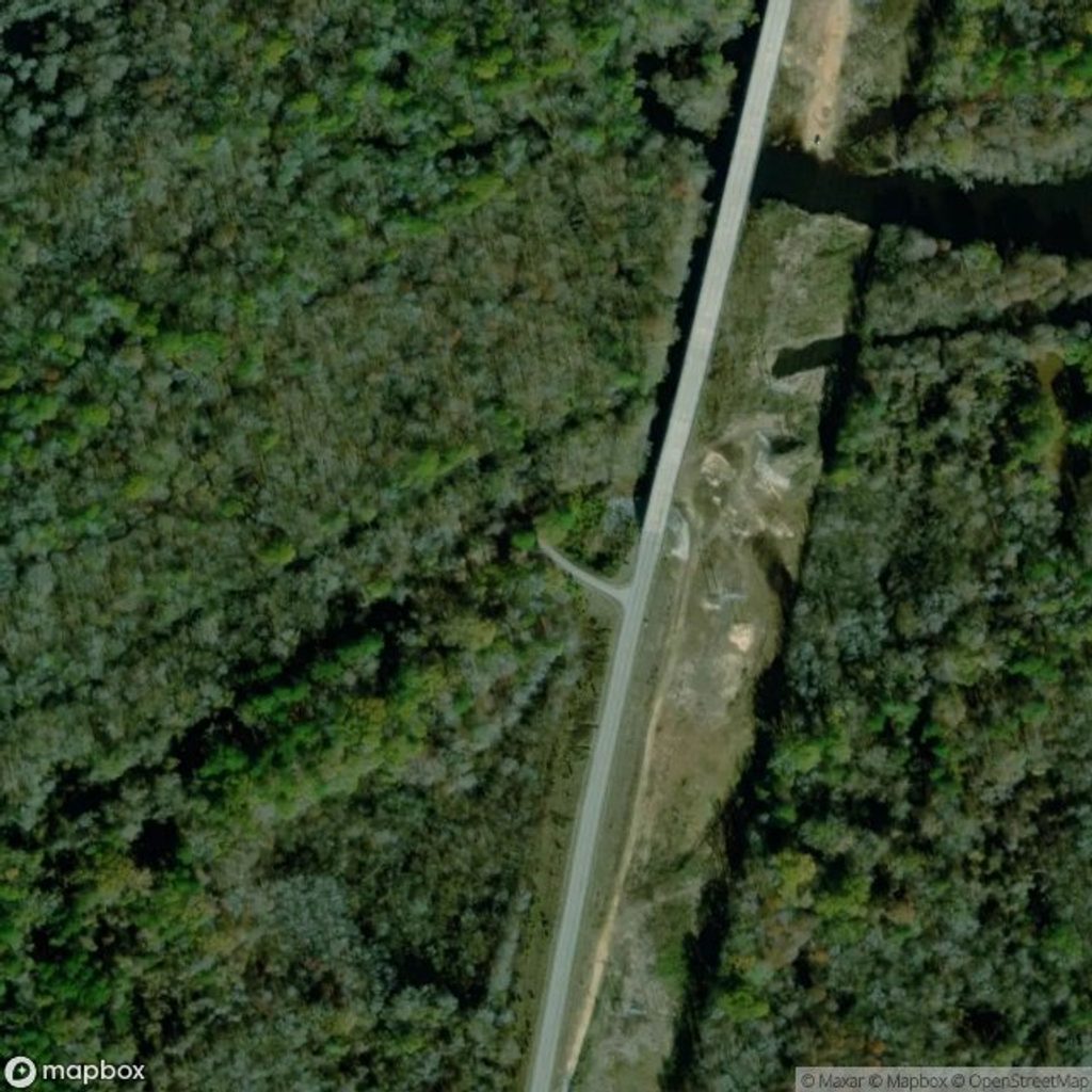 Bates Ferry Trail, Congaree National Park