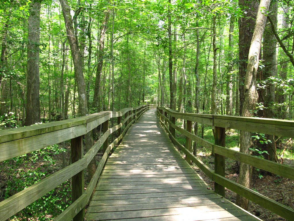 Boardwalk Loop, Congaree National Park