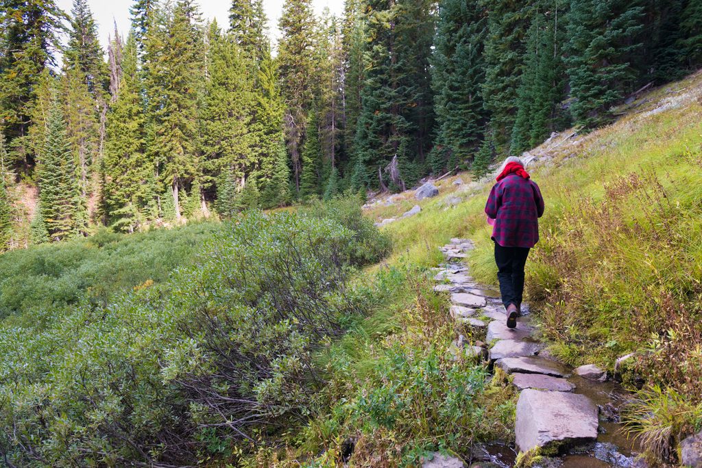 Castle Crest Wildflower Trail, Crater Lake National Park