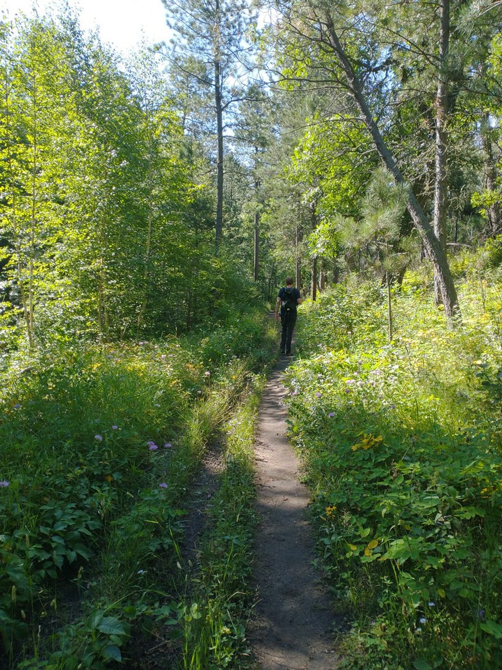 Lovers Leap Trail, Custer State Park