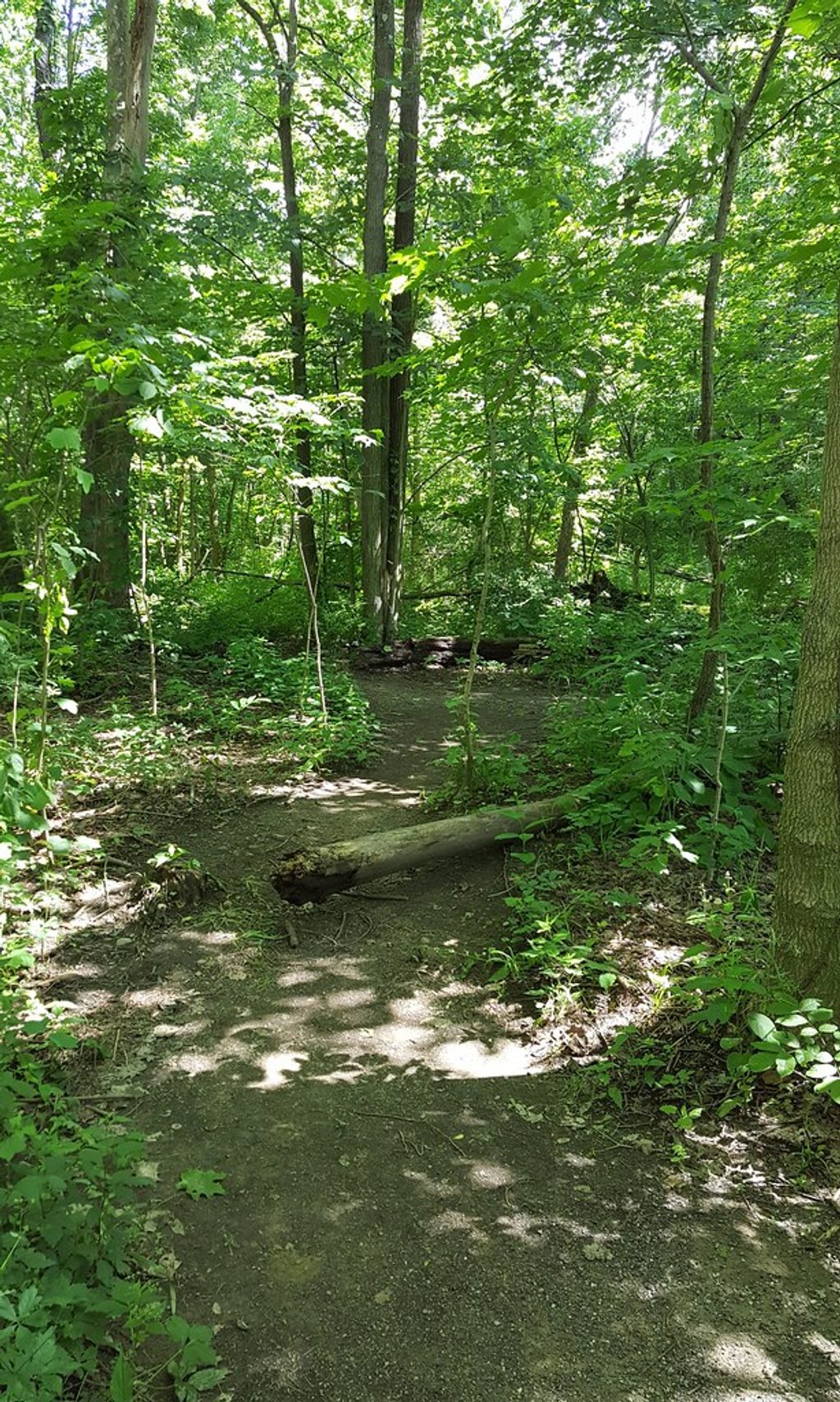 Furnace Run Trail, Cuyahoga Valley National Park