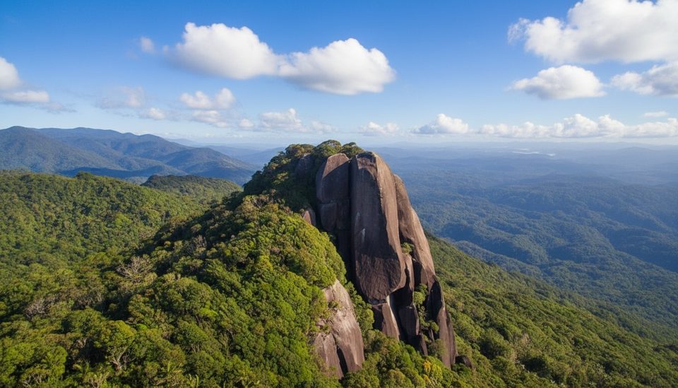 Manjal Jimalji (Devils Thumb) Trail, Daintree National Park