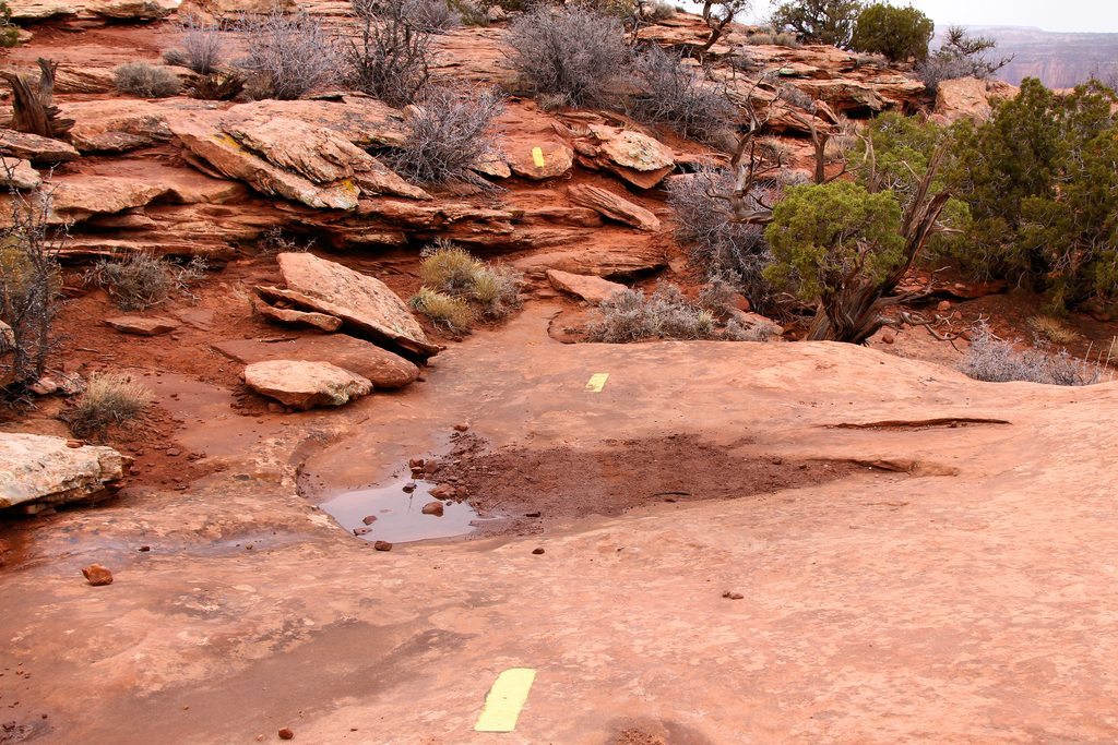 West Rim Trail, Dead Horse Point State Park