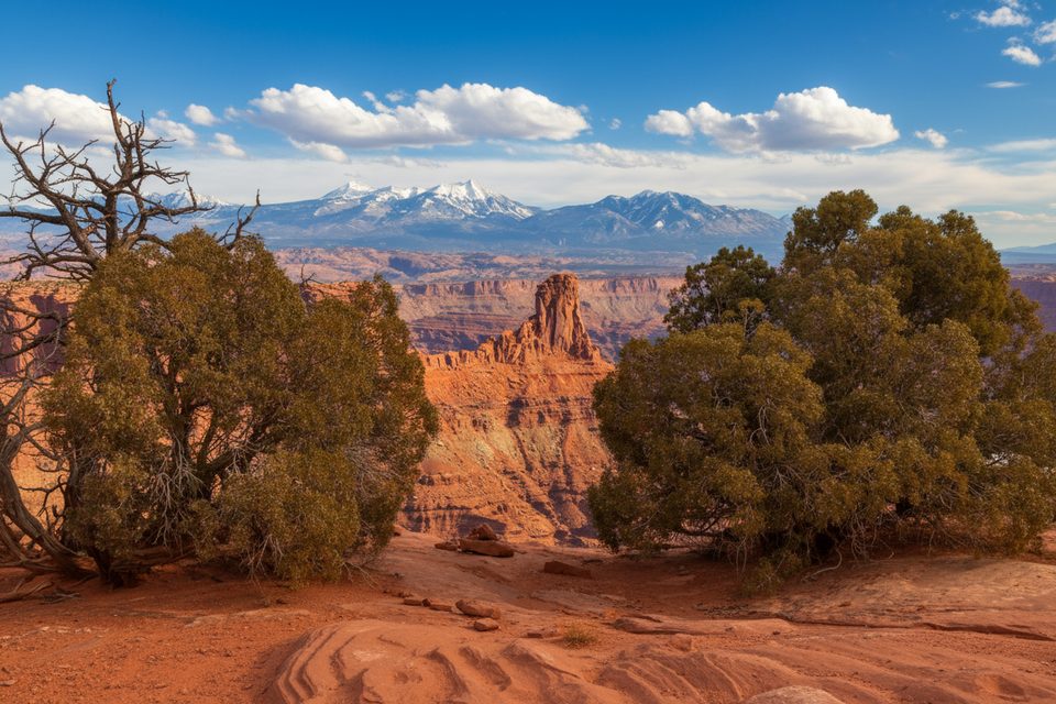 Raven Roll, Dead Horse Point State Park