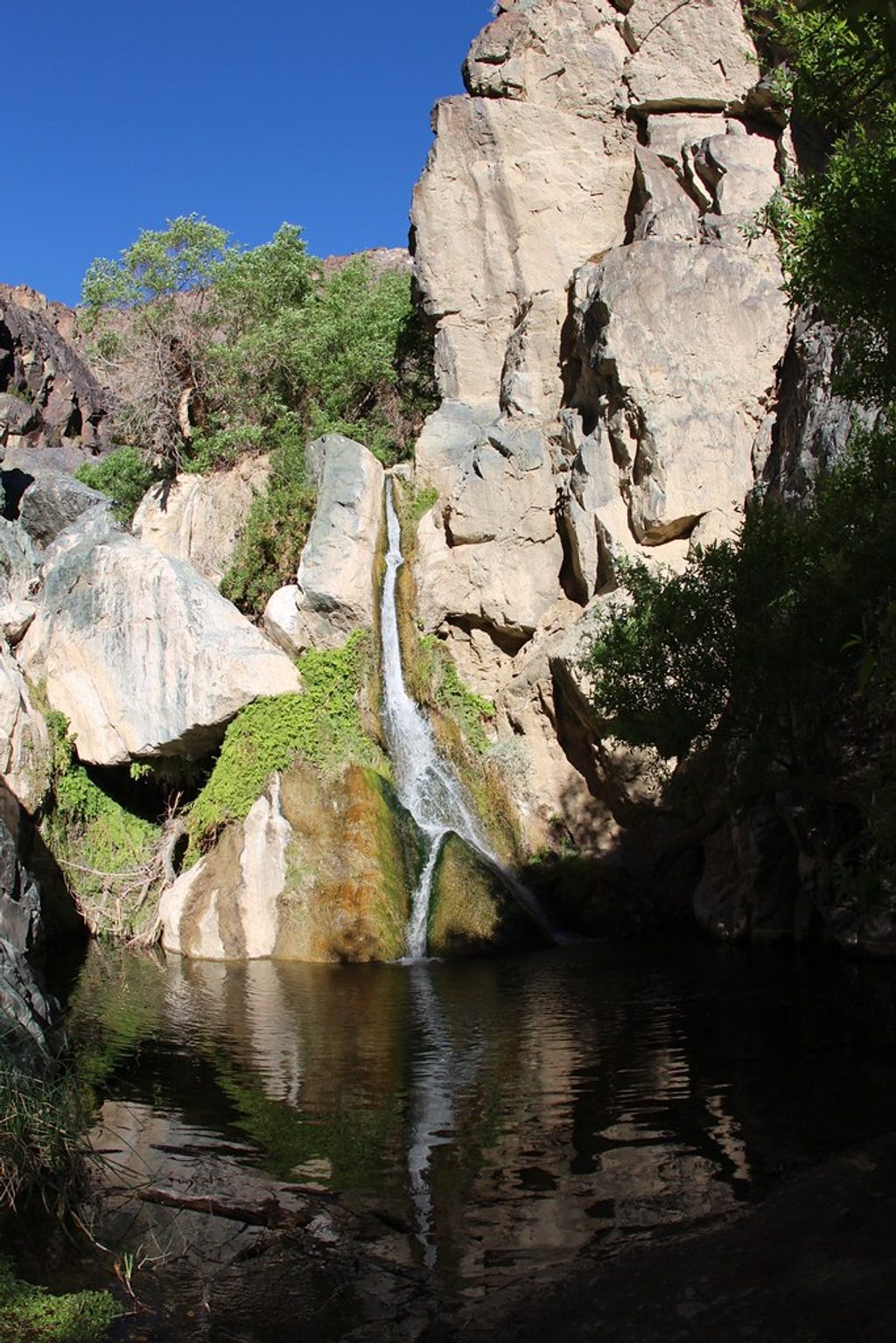 Darwin Falls Trail, Death Valley National Park