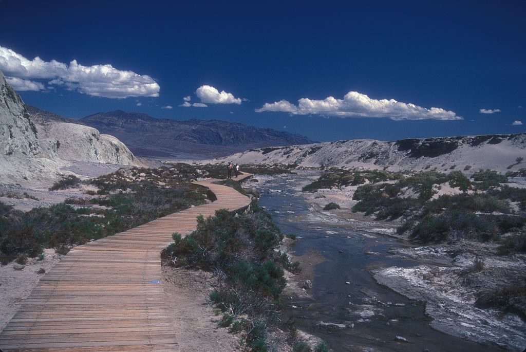 Salt Creek Interpretive Trail, Death Valley National Park